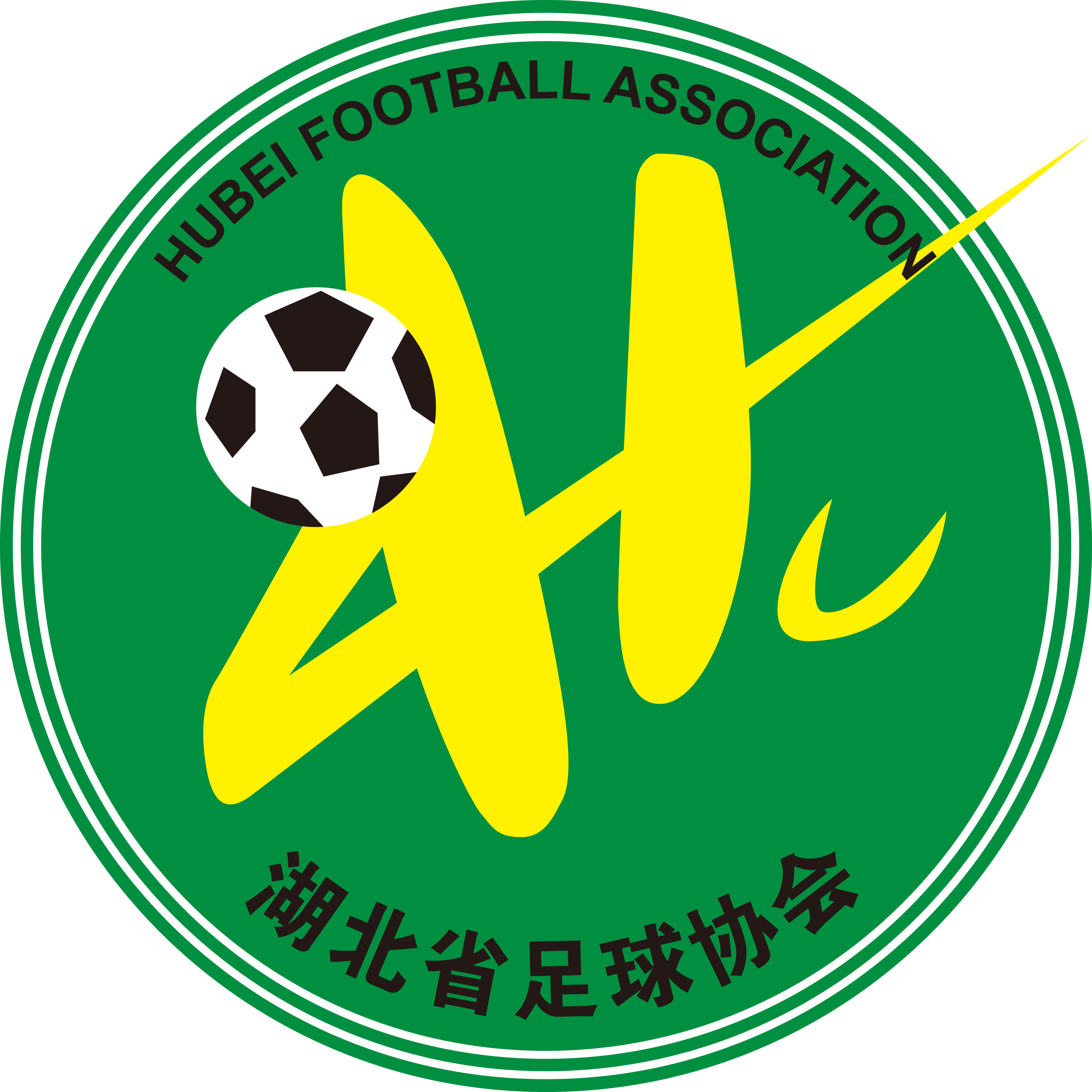 https://img.ncanf.cn/img/football/team/0a0836a320aa027e1f60059a24ab9e09.png